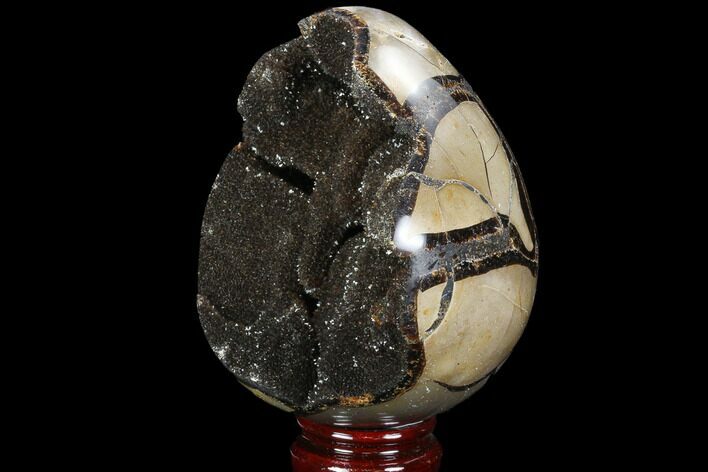 Septarian Dragon Egg Geode - Black Crystals #98861